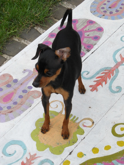 Leon
